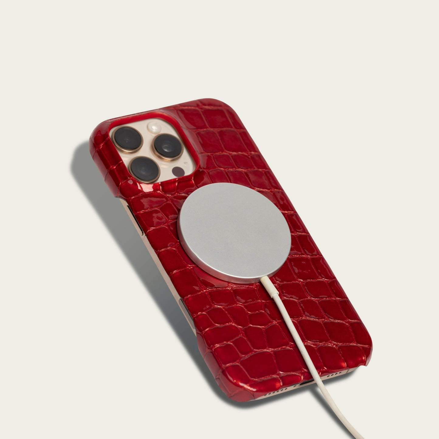 Sport Case