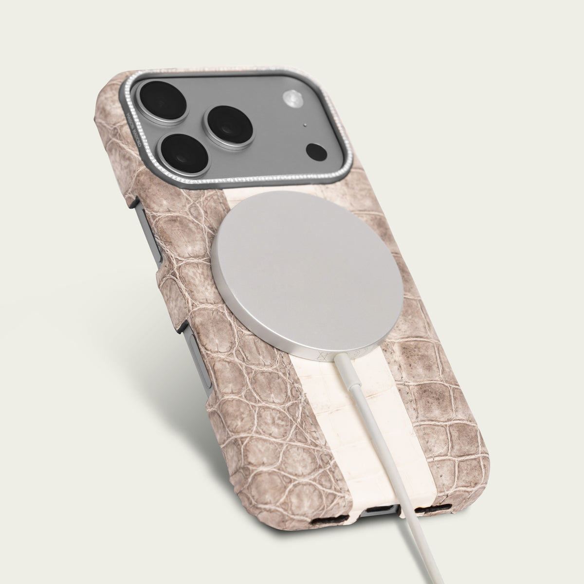 Classic Case