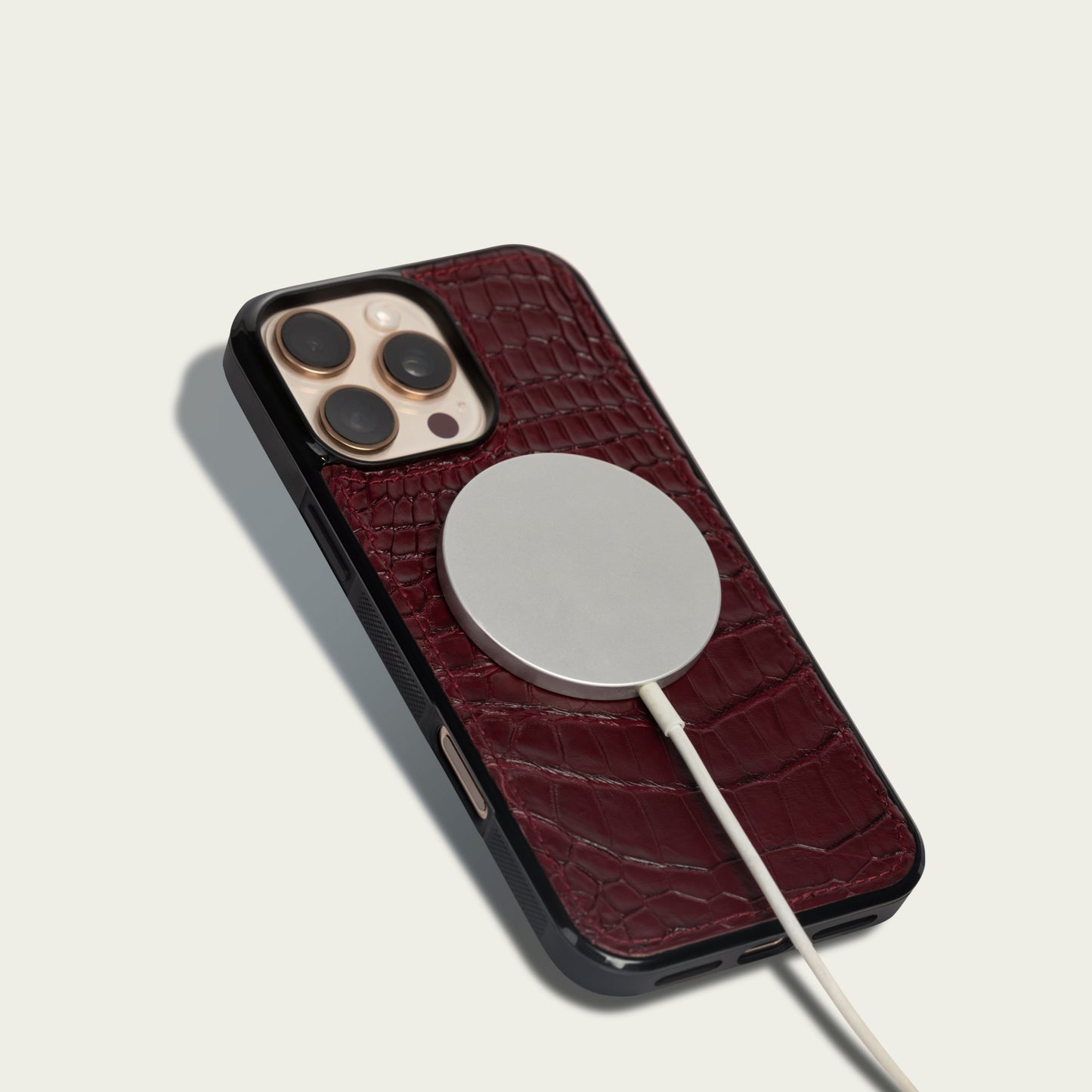 Sport Case