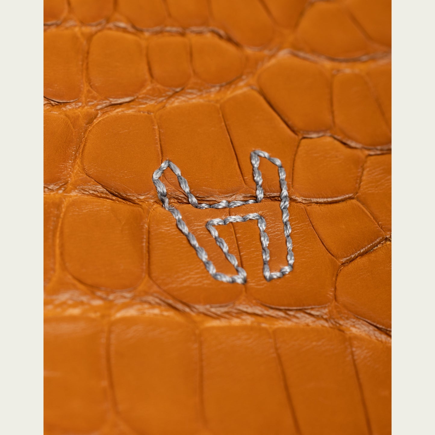 Sport Case